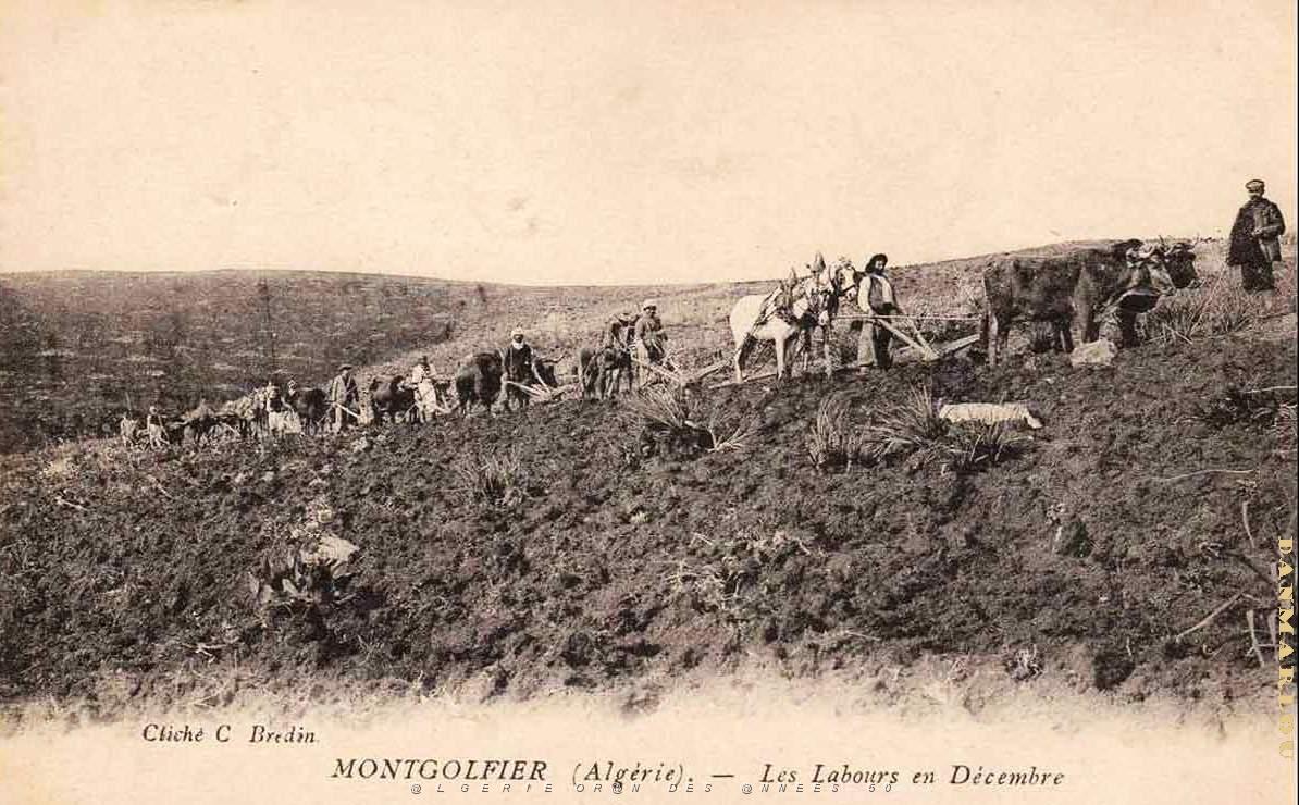 Montgolfier 607.jpg